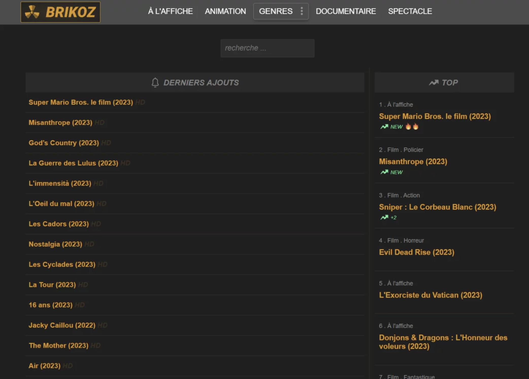 page d'accueil de brikoz