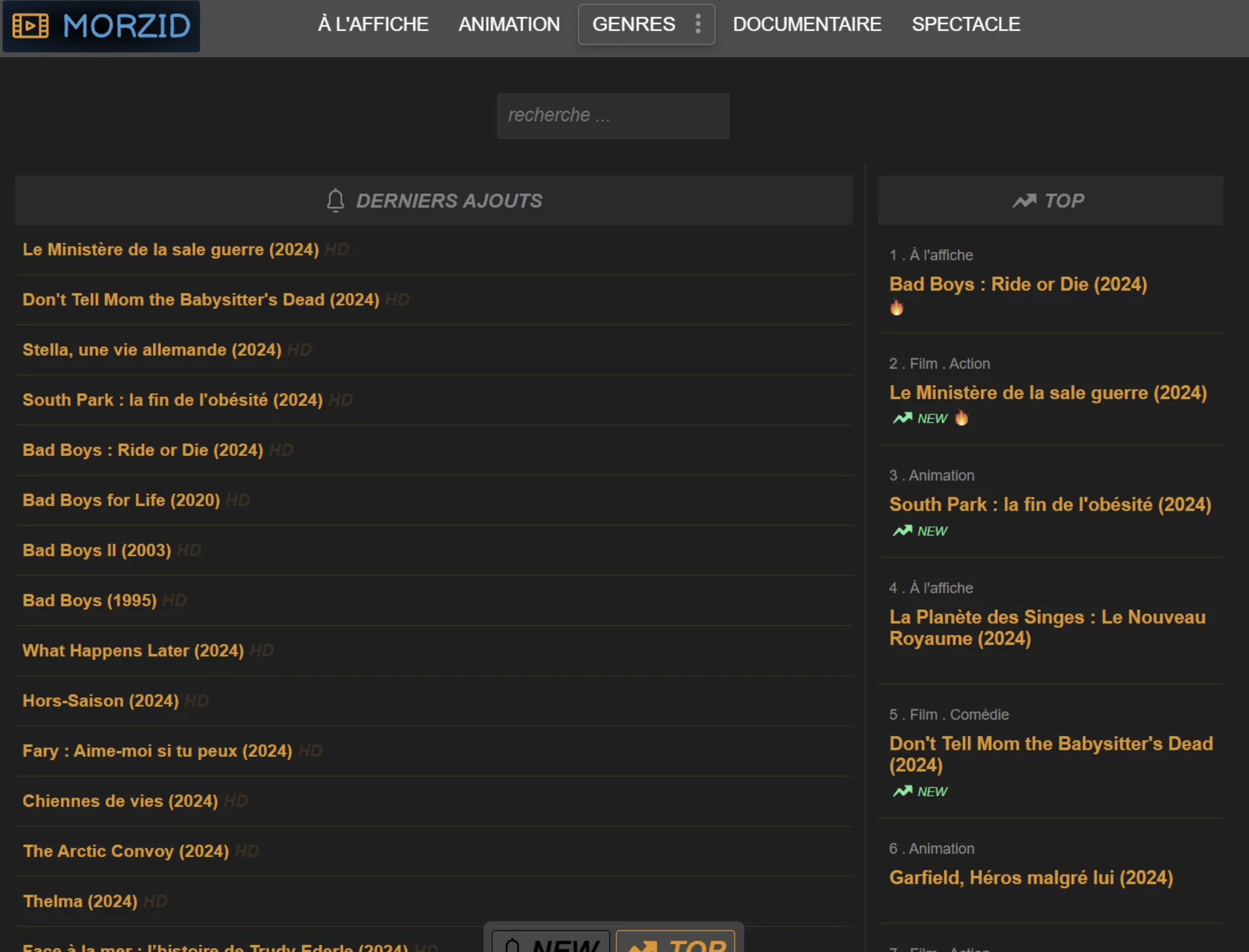 page d'accueil de morzid
