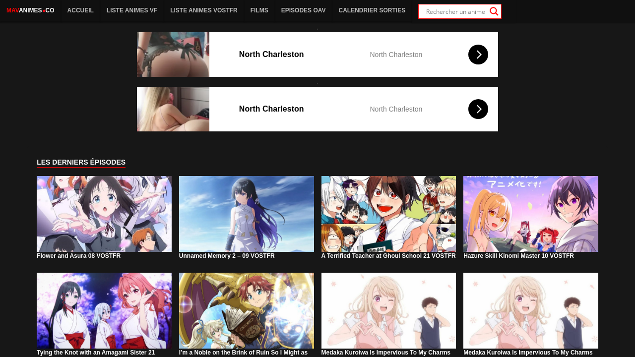 page d'accueil de mavanimes