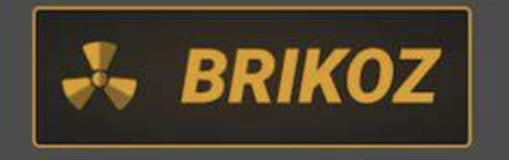 logo de brikoz